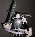 fencer3.jpg