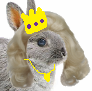 royal_bunda.png
