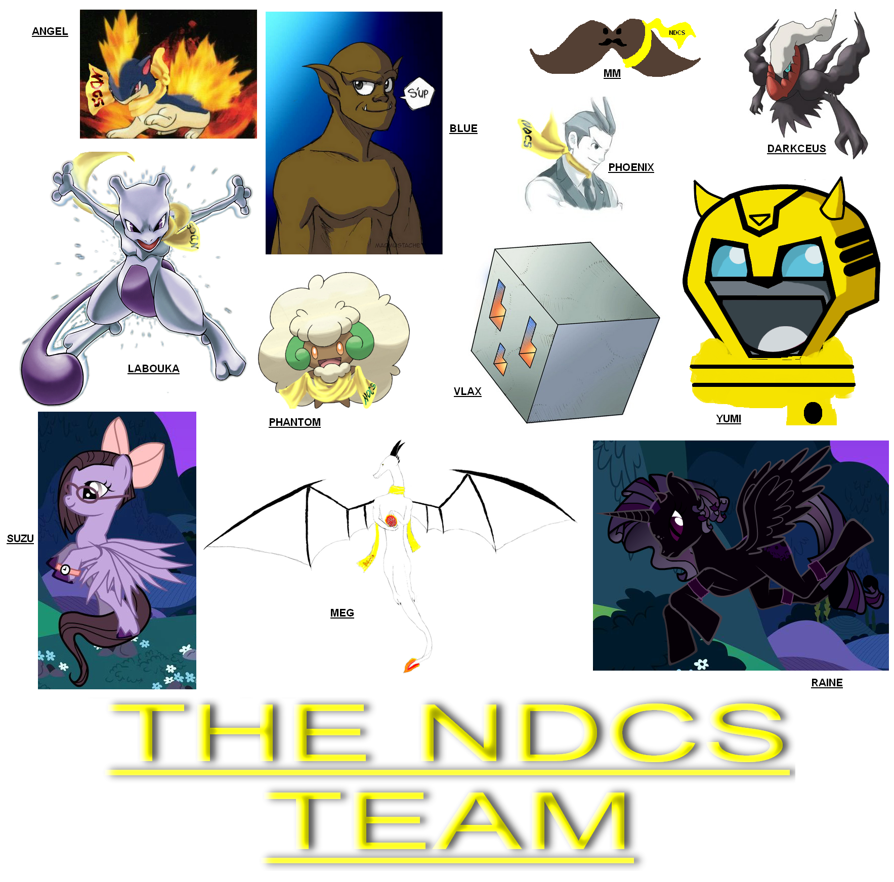 the_ndcs_team.png