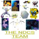 the_ndcs_team.png