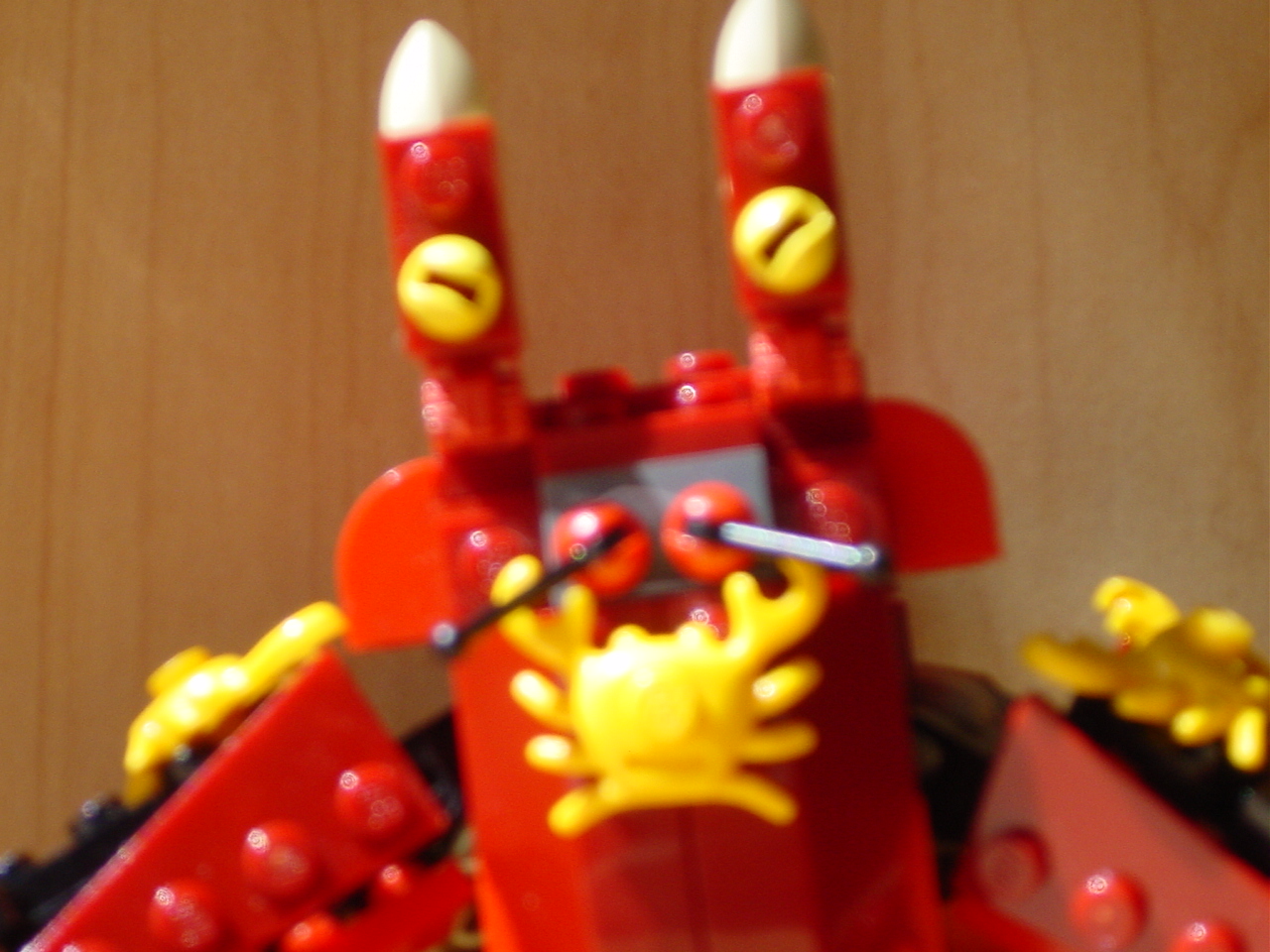 dsc02689.jpg