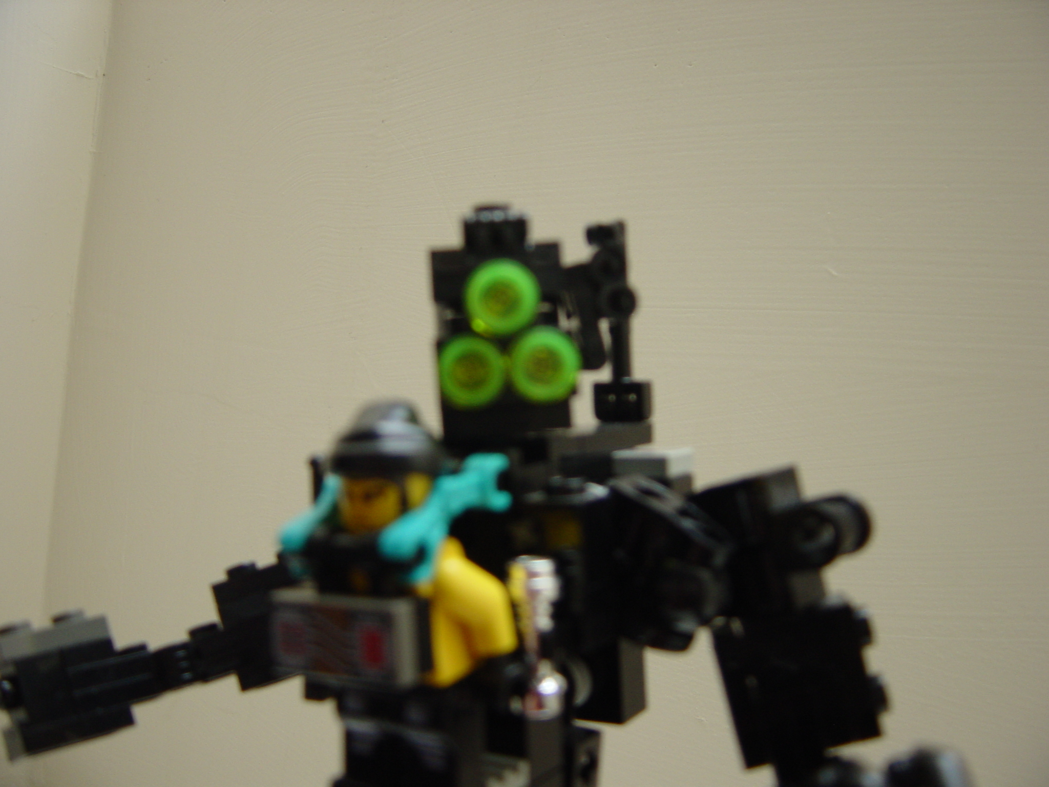 dsc02429.jpg