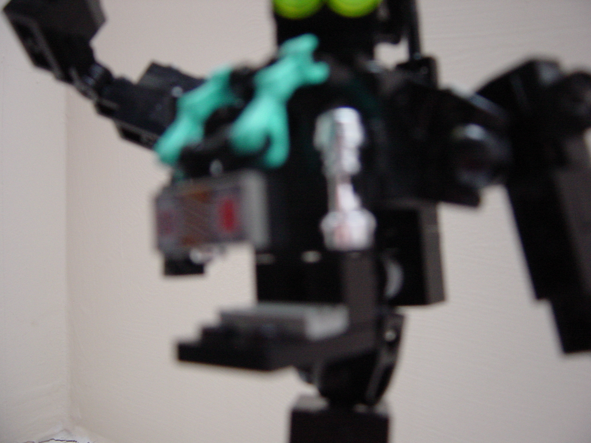 dsc02438.jpg