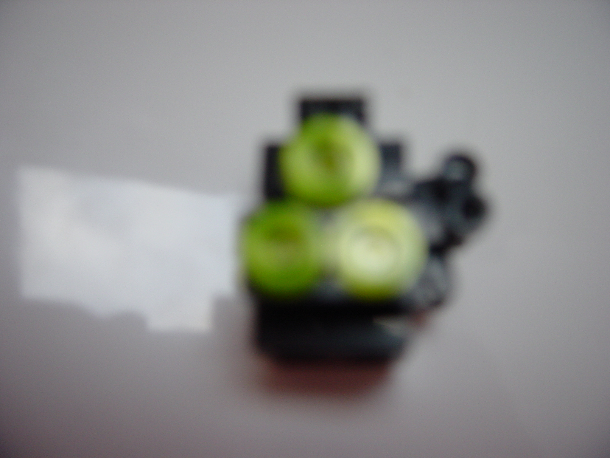 dsc02445.jpg