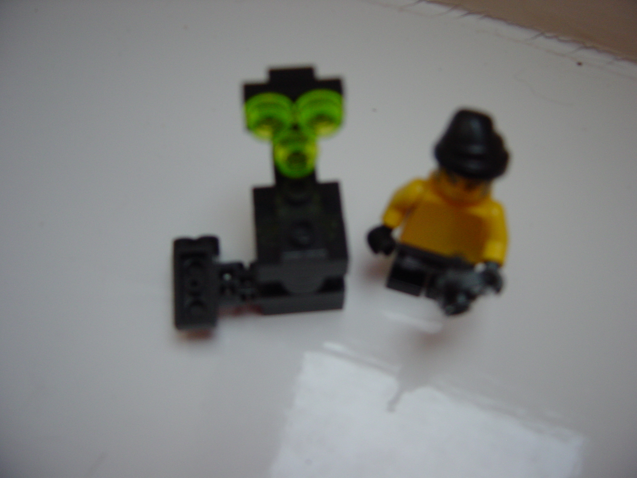 dsc02447.jpg