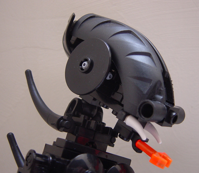 dsc03311.jpg