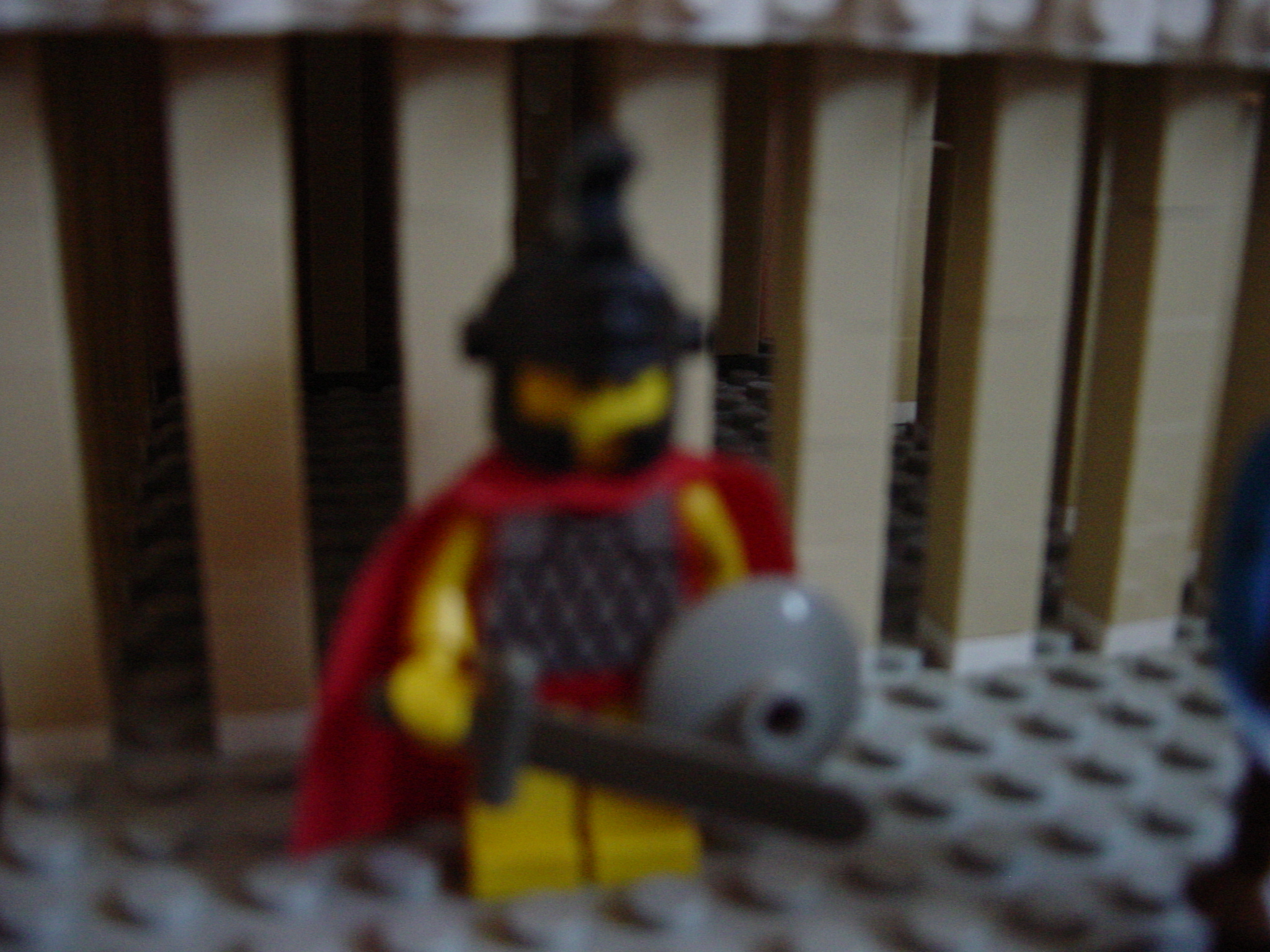 dsc02384.jpg