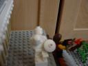 dsc02385.jpg