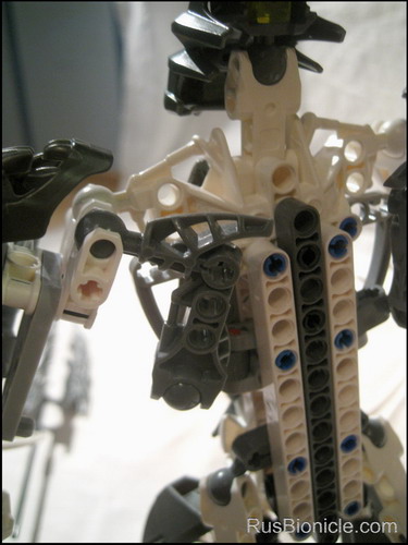 takanuva_back_close.jpg