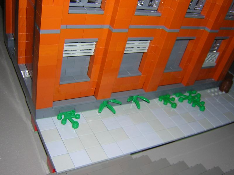 dscn6565.jpg