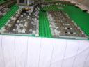 dscn4683.jpg