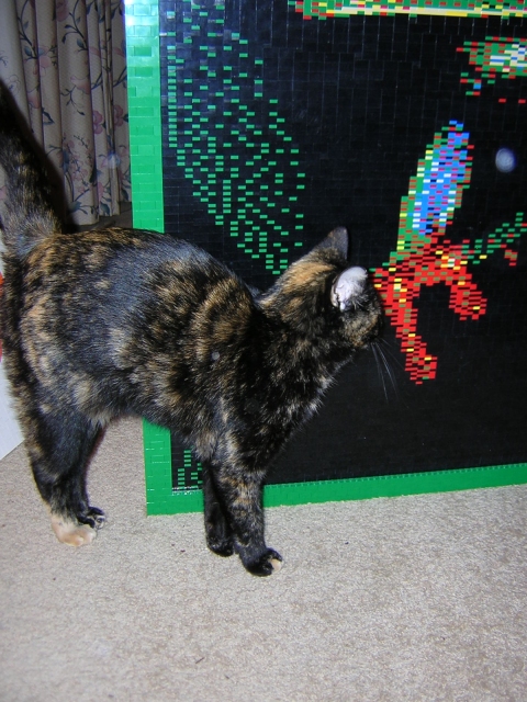 dscn1535.jpg