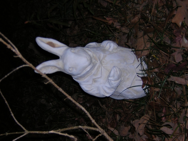dscn1542.jpg