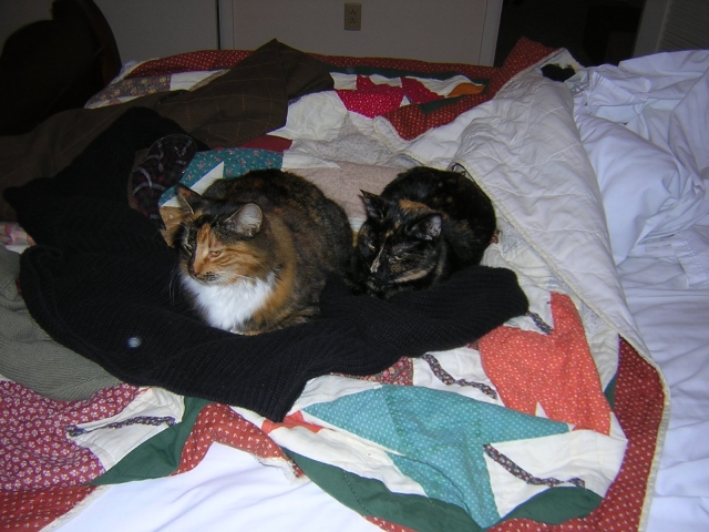 dscn1544.jpg