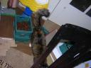 dscn1526.jpg