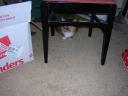 dscn1527.jpg