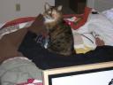 dscn1533.jpg