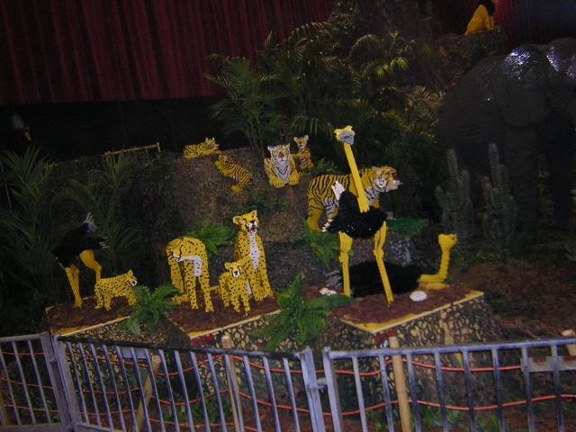 dscn0417.jpg