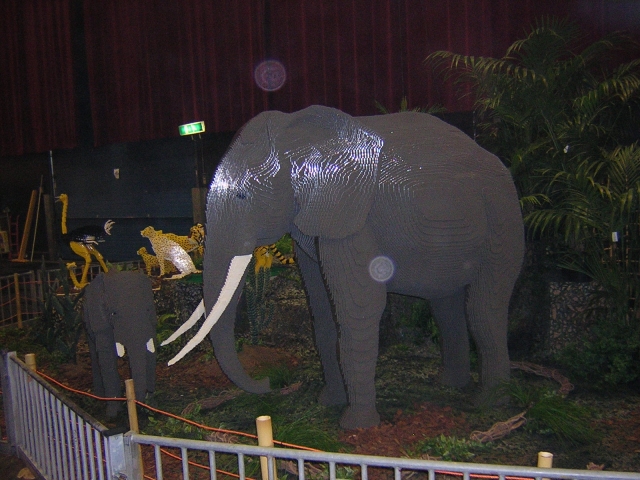 dscn0420.jpg