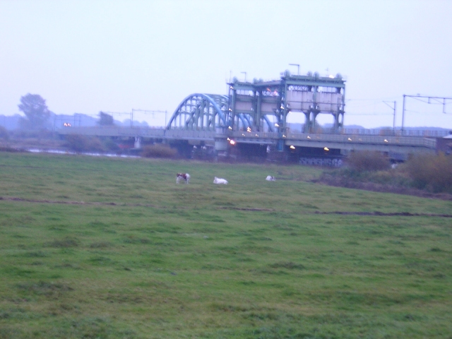 dscn0497.jpg