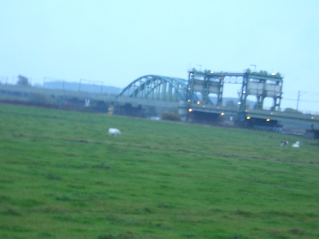 dscn0499.jpg