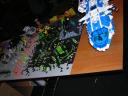 dscn0310.jpg