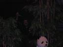 dscn0424.jpg