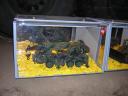 dscn0430.jpg
