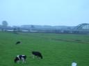 dscn0503.jpg