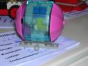 dscn0517.jpg