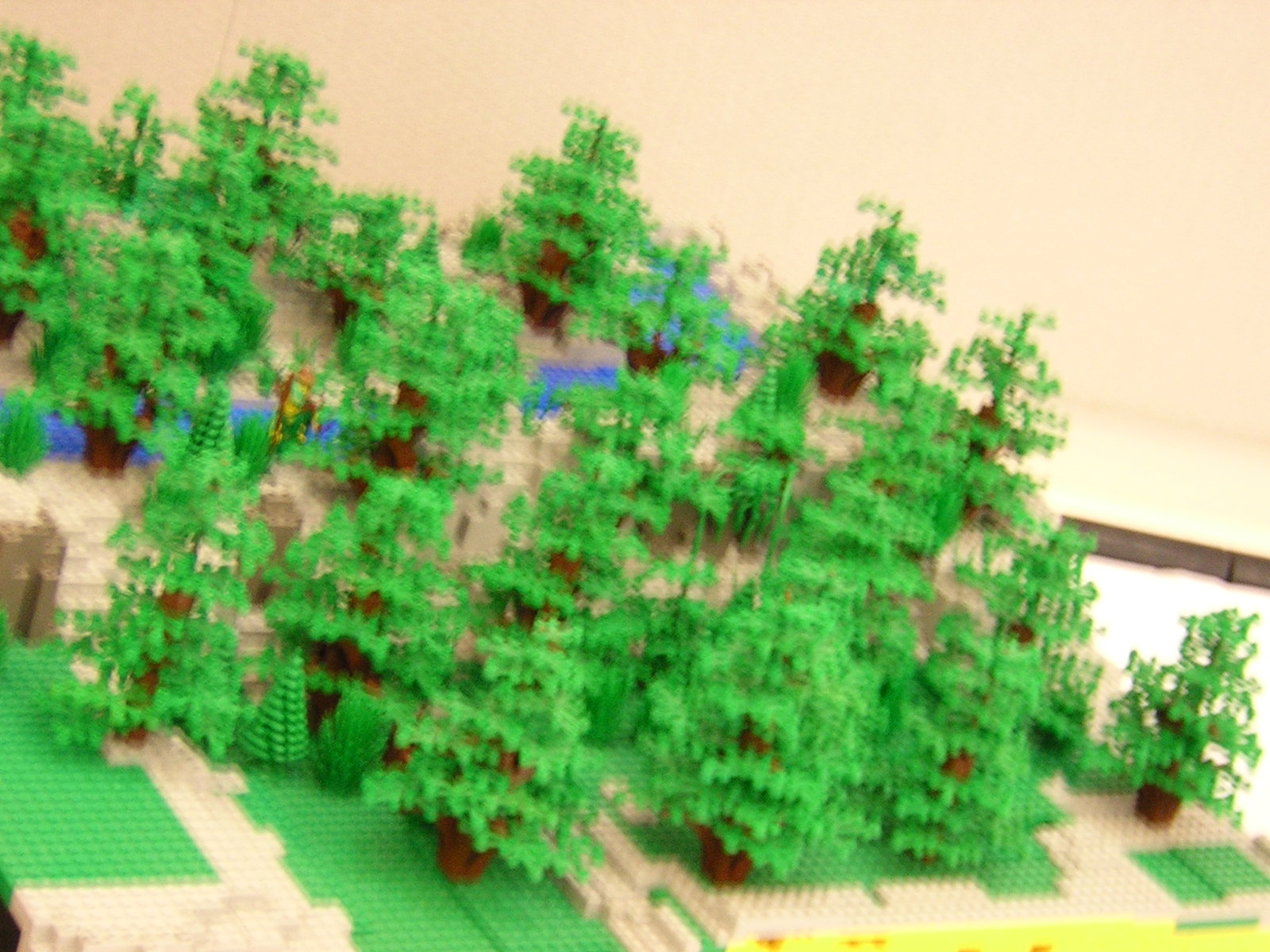 dscn0011.jpg
