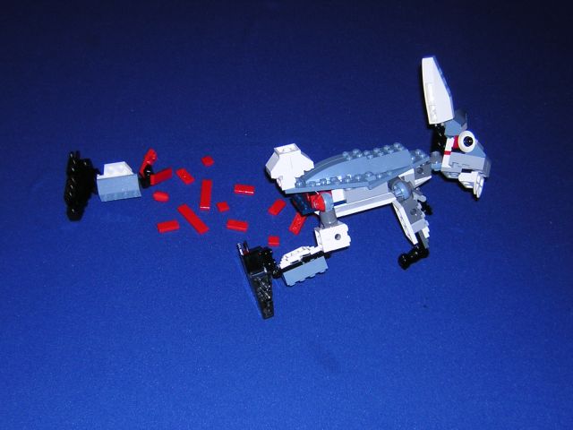 dscn3250.jpg