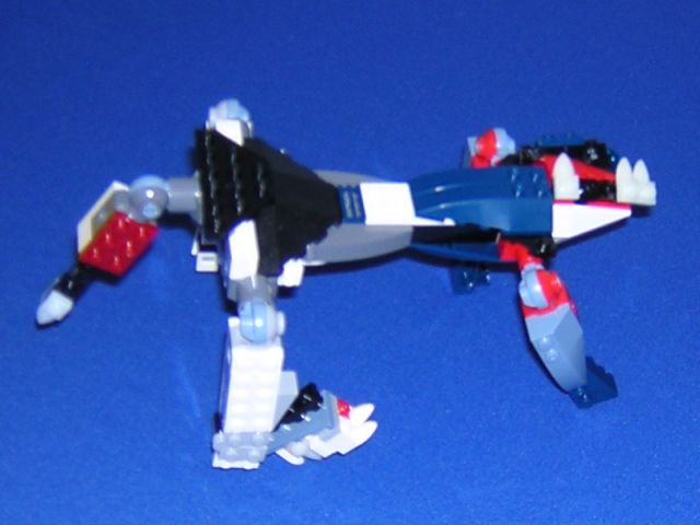 dscn3256.jpg