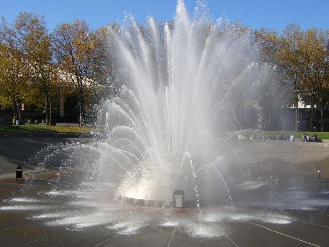 dscn3347.jpg