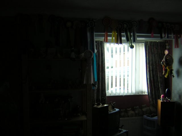 dscn1139.jpg