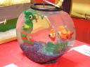 dscn2368.jpg
