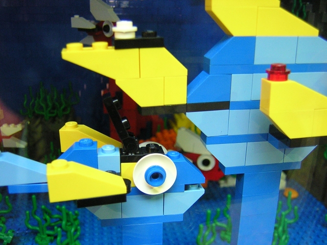 dscn1510.jpg
