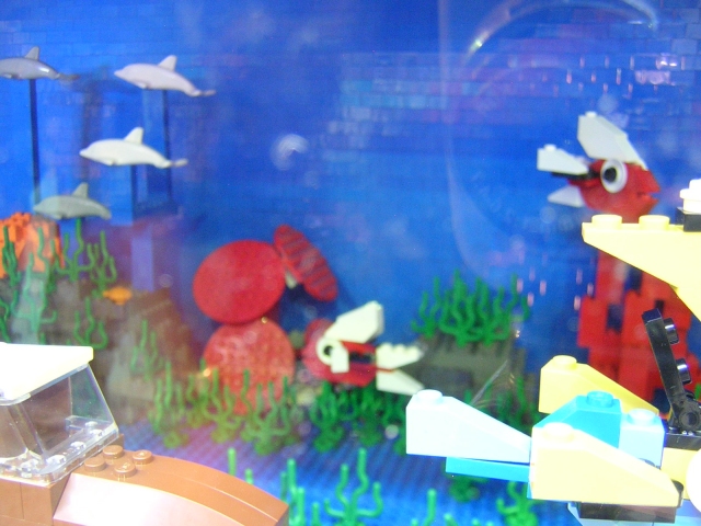 dscn1511.jpg