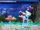dscn1512.jpg