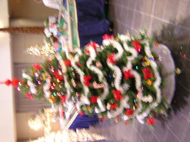 dscn1308.jpg