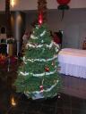dscn1260.jpg