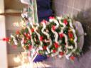 dscn1308.jpg