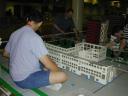 dscn0449.jpg