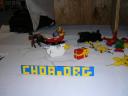 dscn1338.jpg