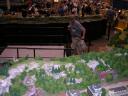 dscn5638.jpg