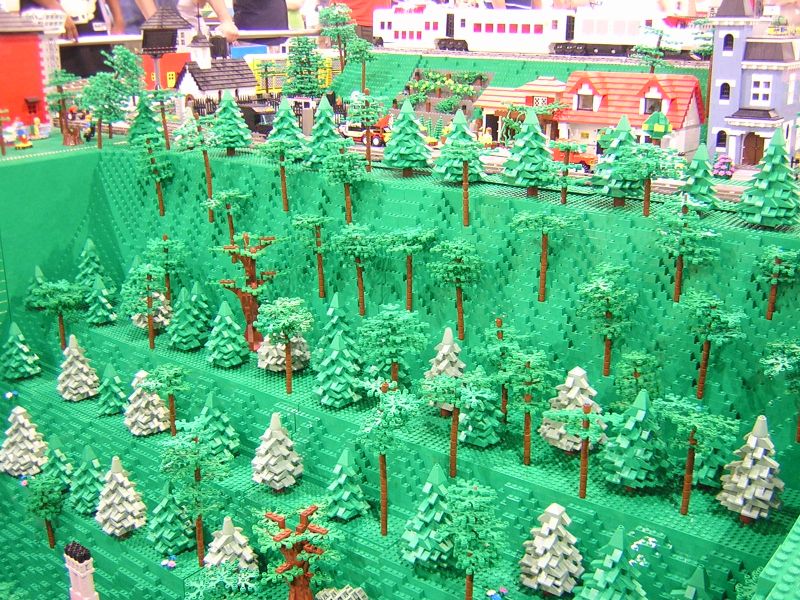 dscn8930.jpg