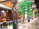 dscn8740.jpg