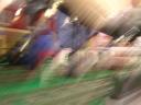 dscn8781.jpg