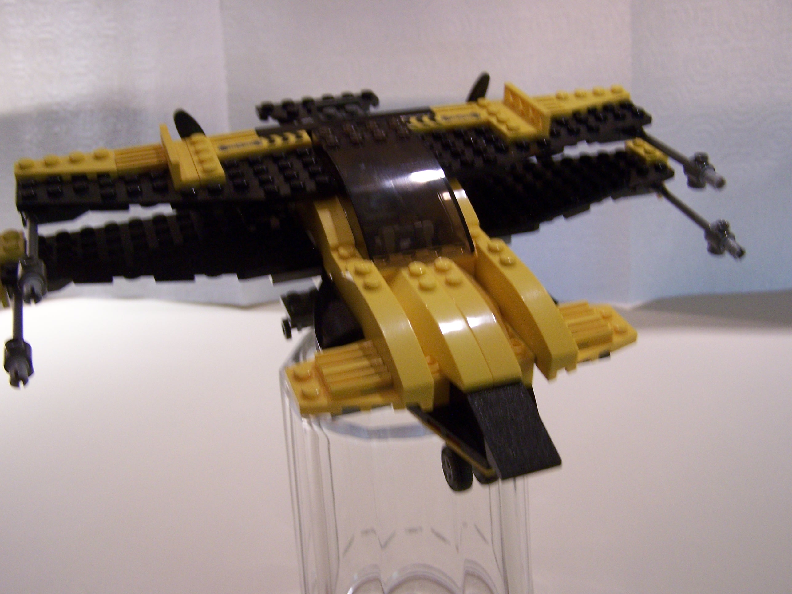 100_3073.jpg