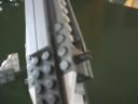 pelican_wingless.jpg